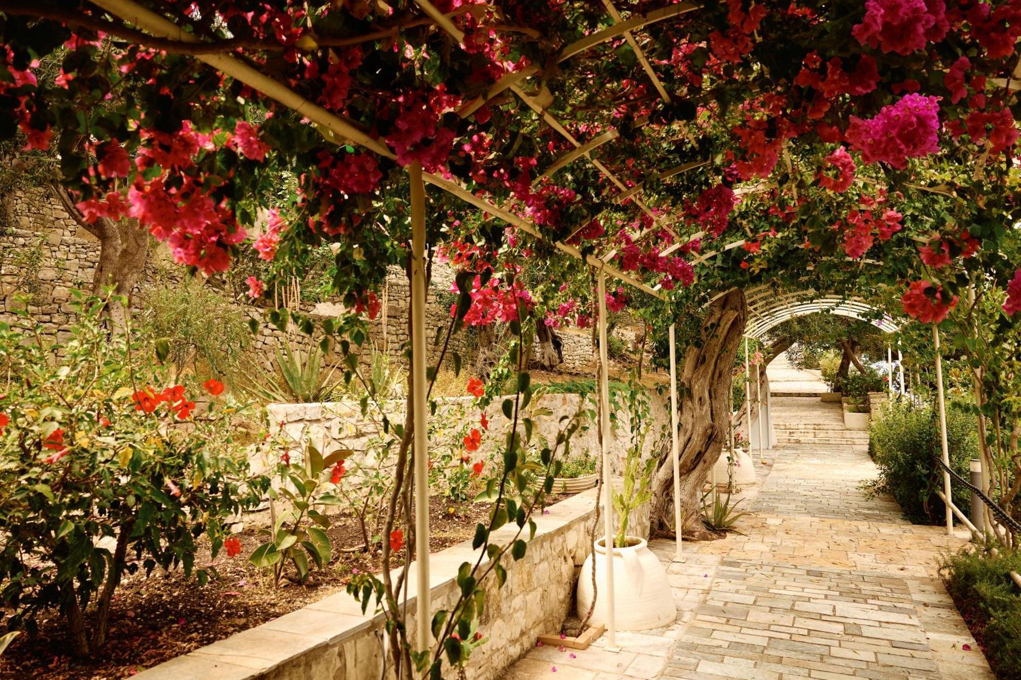 Agali Hotel Paxos Oziás Екстериор снимка